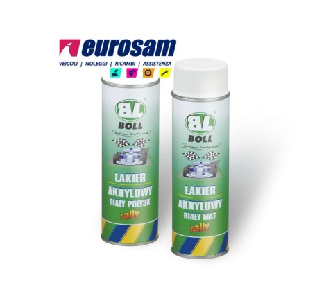 vernice spray rapida...