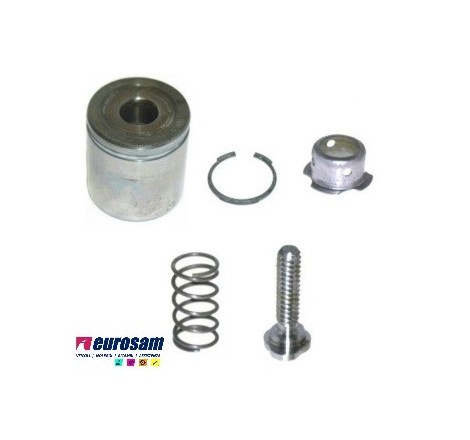 kit pinza freno iveco...