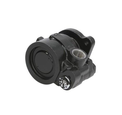 pompa servosterzo idroguida...