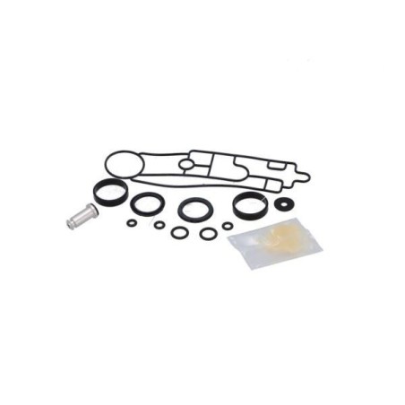 kit revisione per vavola cambio 0501215213