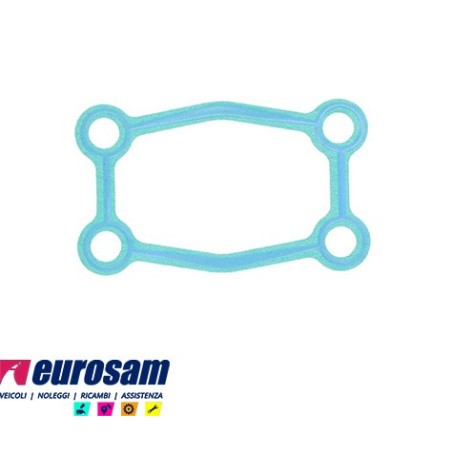 guarnizione cambio zf ecosplit ecosplit iiii ecolite ecomid