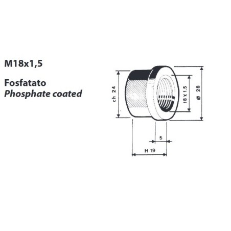 dado per colonnetta mozzo m18x1,5 h. 18 ch.24 iveco man confezione 10 pezzi