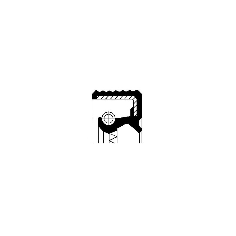 paraolio interno mozzo 143x125x13 assale bpw 730764