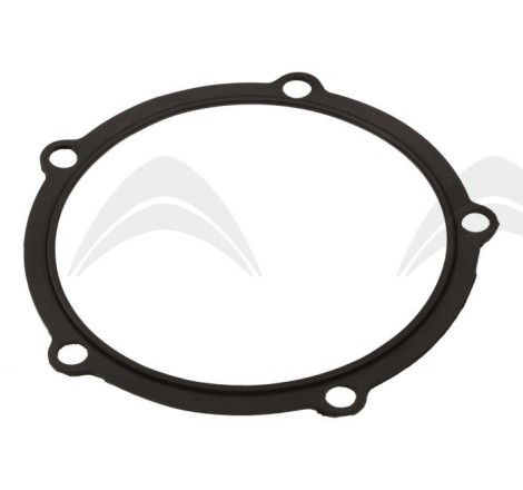 guarnizione calotta mozzo...