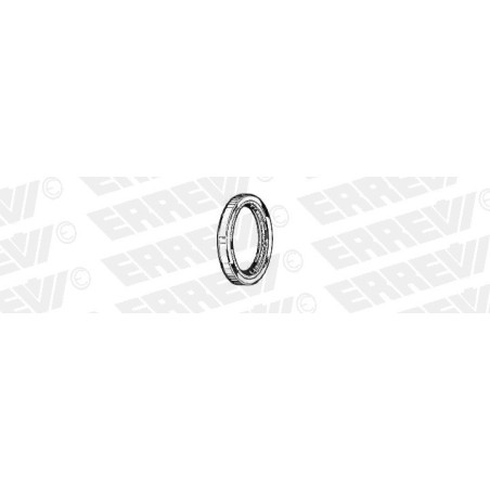 paraolio interno mozzo anteriore in viton 110x80x13 iveco eurocargo