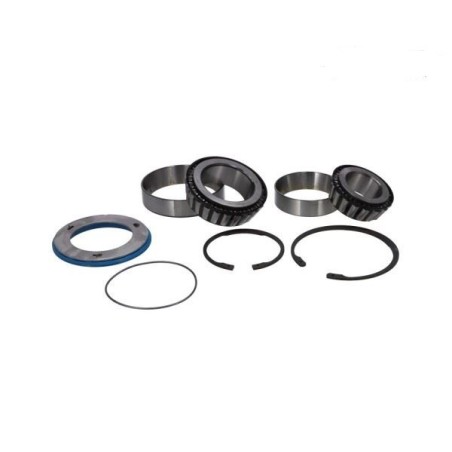 kit cuscinetto mozzo rimorchio bpw 6,5/8/9 ton autosterzanti eco-plus ii