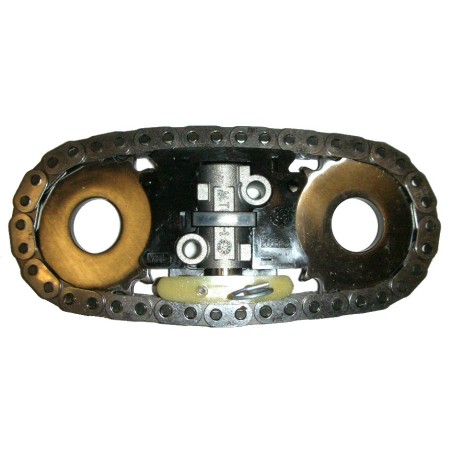 catena di comando alberi a camme motore f1ae0481