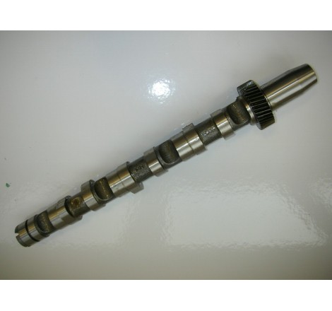 albero distribuzione motore...