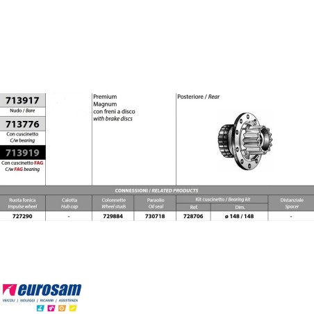 Mozzo ruota posteriore nudo Renault Premium Magnum Volvo FH FM versione con freni a disco