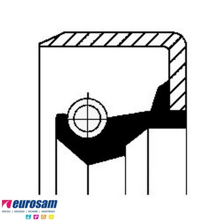 Paraolio esterno mozzo 120x132x10 Iveco Man
