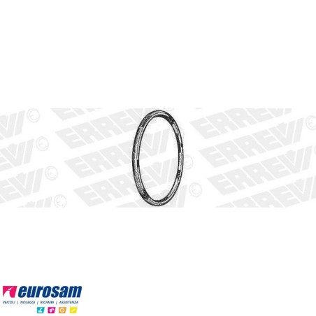 Anello di tenuta per mozzo con riduttore Iveco Astra generale