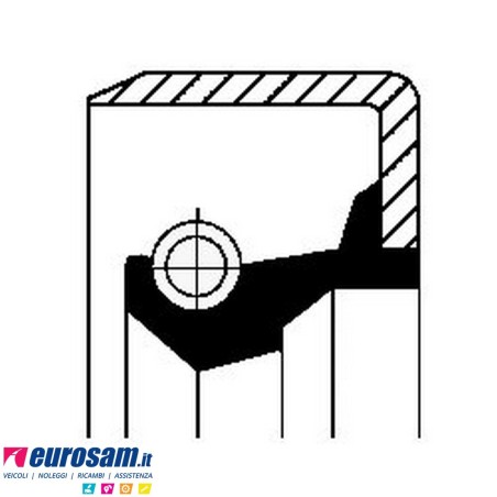 Paraolio esterno mozzo 120x132x10 Iveco Man