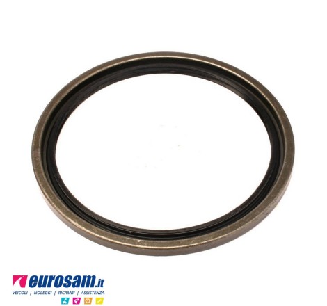 Paraolio interno mozzo...