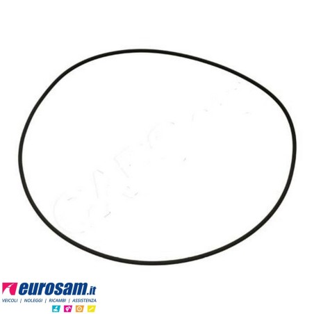 Anello di tenuta mozzo posteriore Iveco