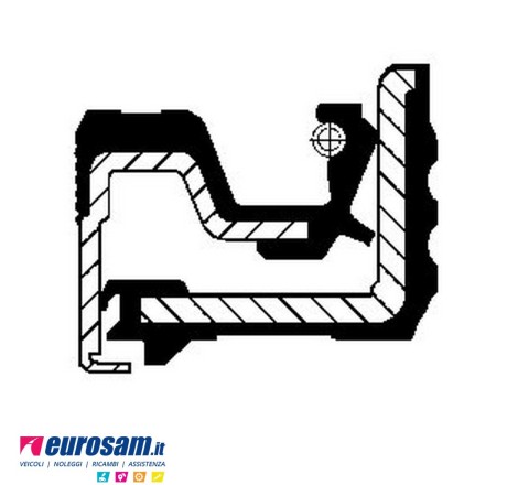 Paraolio interno mozzo...