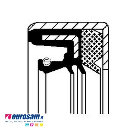 Paraolio interno mozzo...