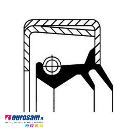 Paraolio interno mozzo...