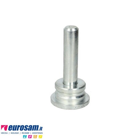 Perno ribaltamento cabina Iveco Eurotech