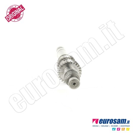 Albero Cambio Iveco Daily 14- Centrale