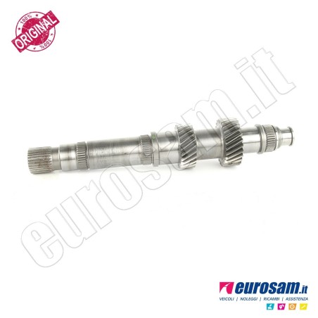 Albero Cambio Iveco Daily 14- Centrale