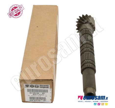 Albero Secondario Cambio...