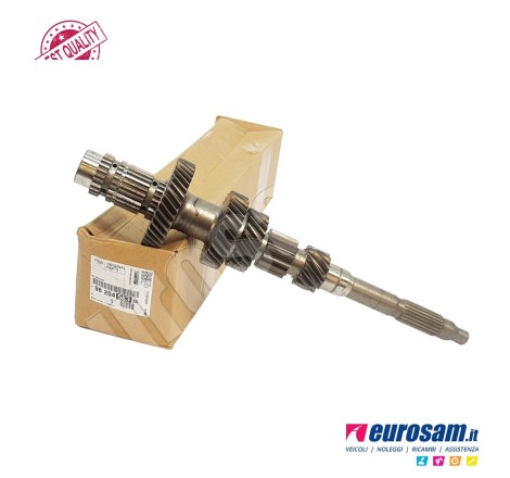 Albero Cambio Primario...