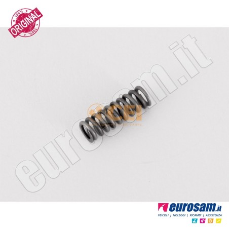 X5 Molla Sincronizzatore Cambio Iveco Daily 00-