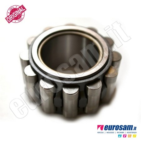 Cuscinetto Cambio Iveco Daily 00- Albero Primario