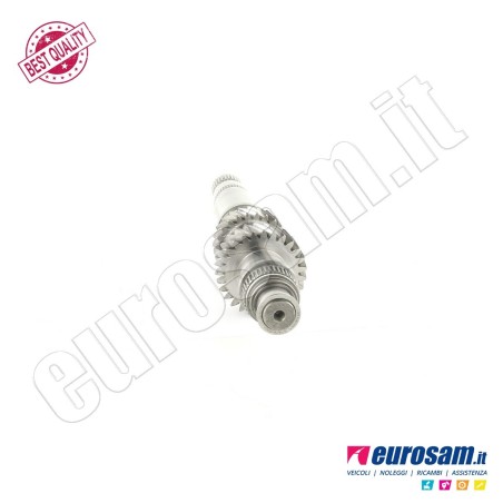 Albero Cambio Iveco Daily 14- Centrale