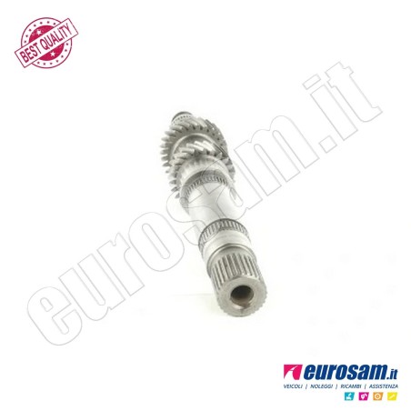 Albero Cambio Iveco Daily 14- Centrale