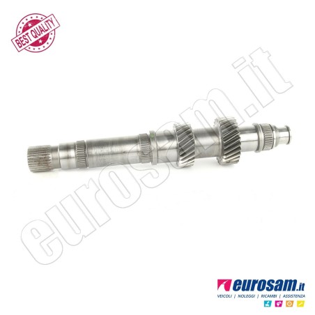 Albero Cambio Iveco Daily 14- Centrale