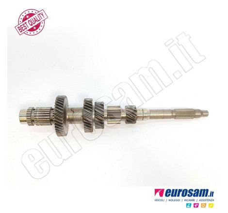 Albero Cambio Primario...