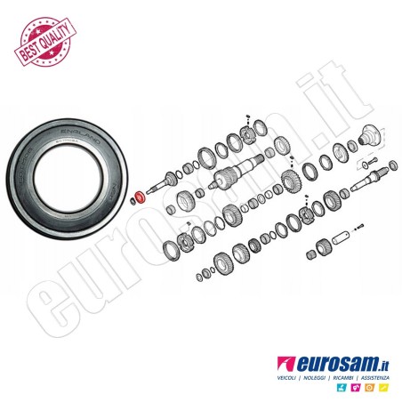 Cuscinetto Cambio Iveco Daily 06- Albero Frizione