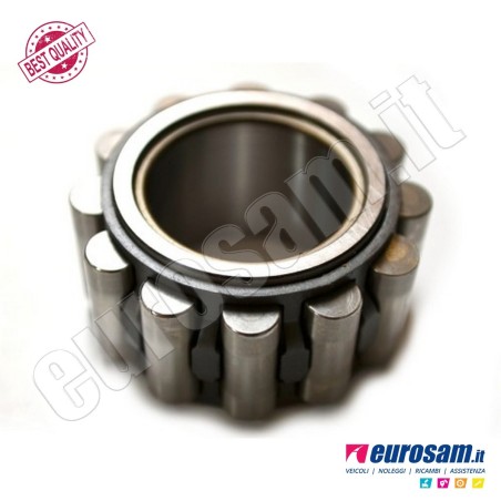 Cuscinetto Cambio Iveco Daily 00- Albero Primario