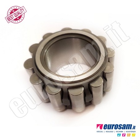 Cuscinetto Cambio Iveco Daily 00- Albero Primario
