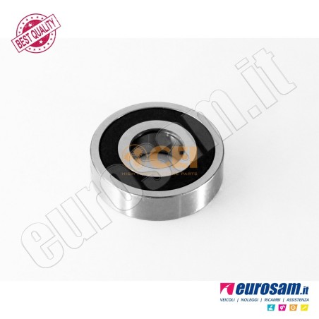 Cuscinetto Cambio Iveco Daily 00-