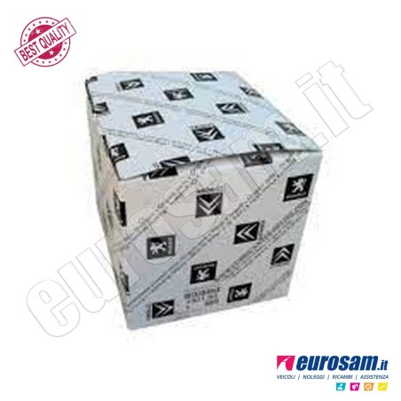 Cuscinetto Cambio Citroen Jumper Peugeot Boxer 06-
