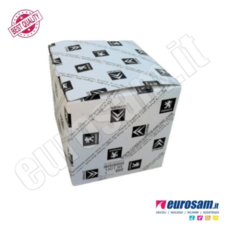 Forcella Cambio Completa Fiat Ducato Citroen Jumper Boxer 14- 3/4-Marcia Bv6M