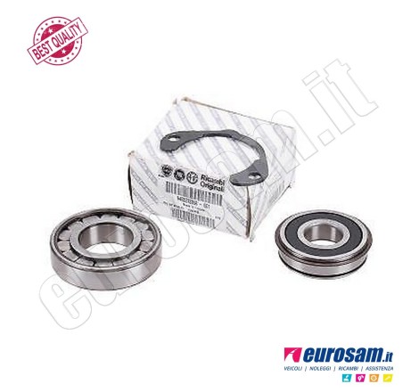 Kit Cuscinetto Albero...