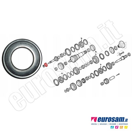 Cuscinetto Cambio Iveco Daily 06- Albero Frizione