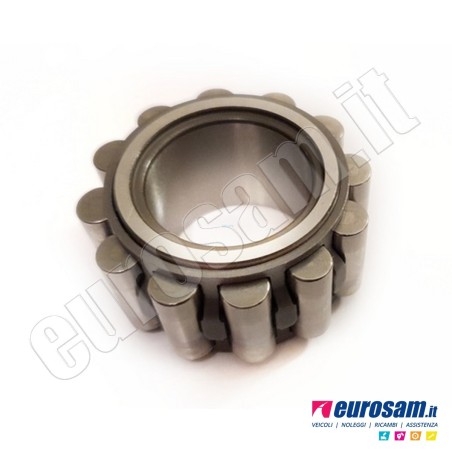 Cuscinetto Cambio Iveco Daily 00- Albero Primario