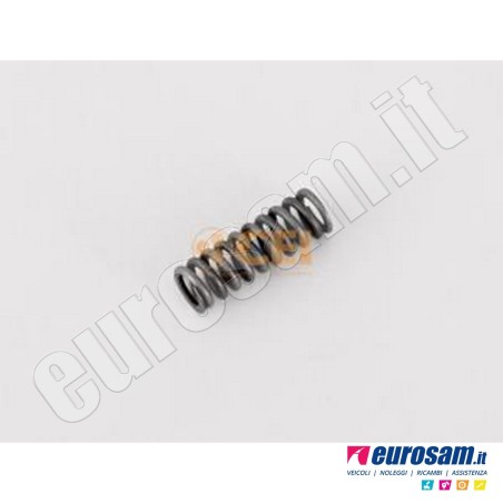 Molla Sincronizzatore Cambio Iveco Daily 00-