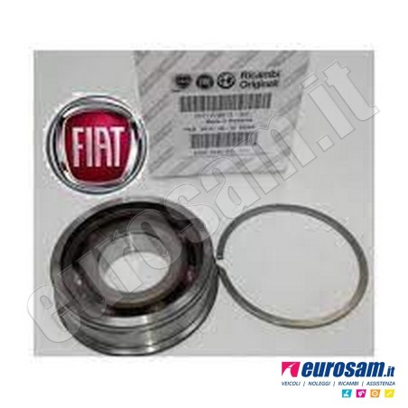 Cuscinetto Cambio Fiat Ducato 06-/ 14- Albero Primario Posteriore 2.3/3.0Jtd