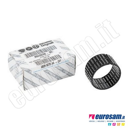 Cuscinetto Cambio Fiat Ducato 06-