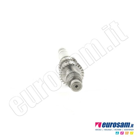 Albero Cambio Iveco Daily 14- Centrale