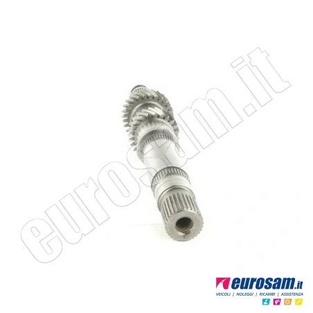 Albero Cambio Iveco Daily 14- Centrale