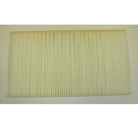 filtro antipolline...