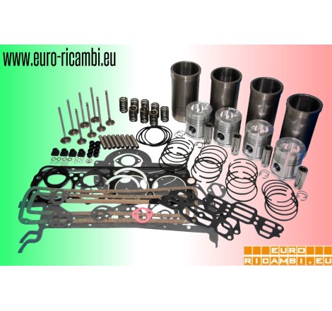 kit rettifica motore cnh -...