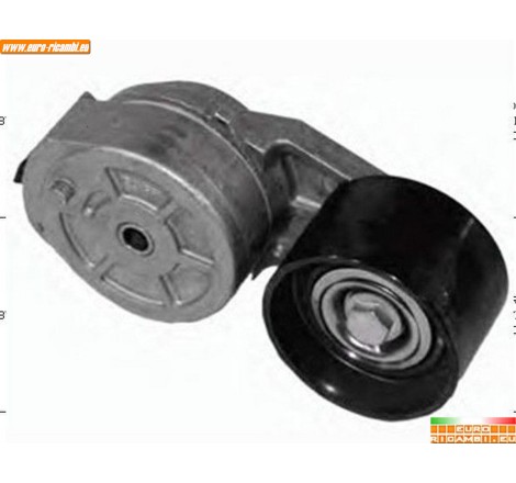 tendicinghia completo per...