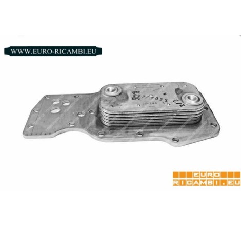 scambiatore di calore...